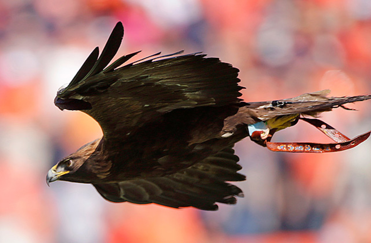 War Eagle